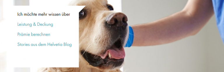 Helvetia Hundekrankenversicherung 12/2020 Erfahrungen & Kosten
